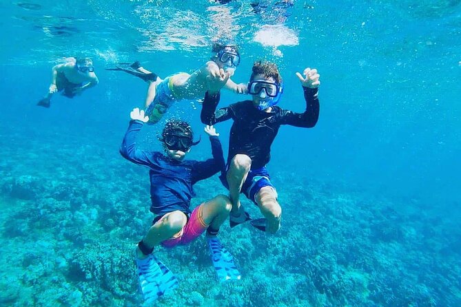 Panorama Semi Submarine Snorkeling Cruise Hurghada - What this Hurghada cruise actually offers