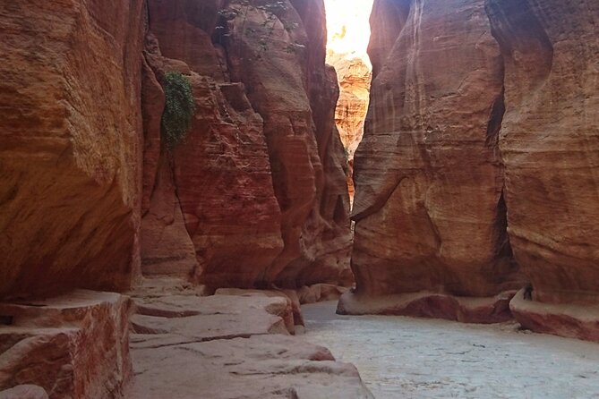 Petra Sightseeing 1 Day Tour From Sharm El Sheikh - Lunch, comfort, and the $290 price