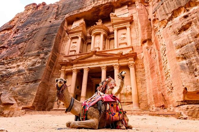 Petra Sightseeing 1 Day Tour From Sharm El Sheikh - The 1:30 a.m. departure from Sharm El Sheikh