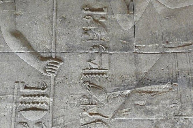 Philae Temple and Aswan High-Dam Half-day tour - What the private guide adds