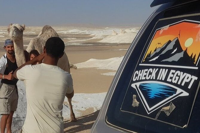 Private 2-Day Tour in Egypt - The Five-Hour Run to Bahariya Oasis