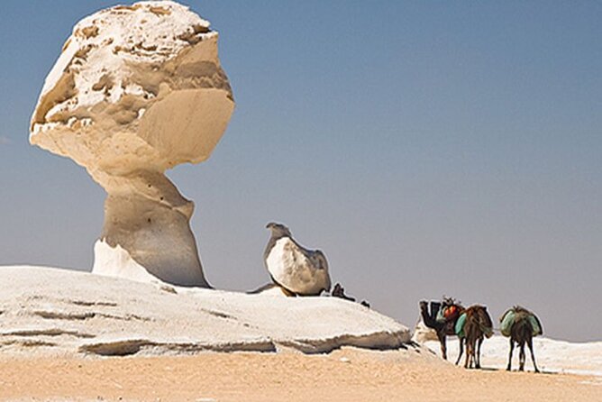 Private 2 Days Jeep Safari to White Desert and Bahariya Oasis - Black Desert, El Hez Village, and a Cold Spring