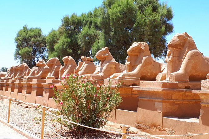 Private 2 Days The Best of Luxor - Hatshepsut, the Colossi, and Ramses III