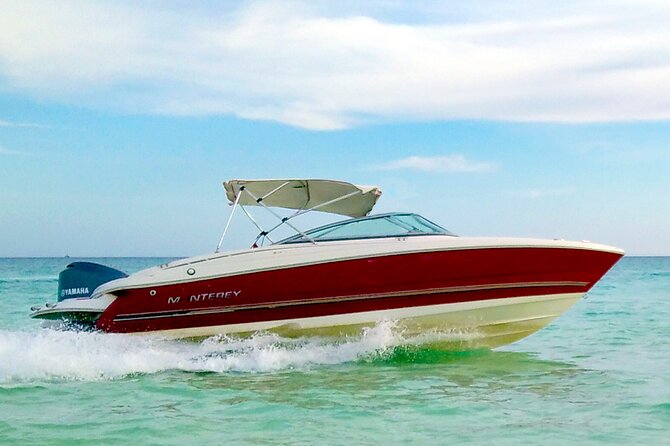 PRIVATE! | 4-hour Speed Boat Trip | Swim With Dolphins, Snorkeling & Island - Omo Gamaar and the Red Sea’s smaller creatures