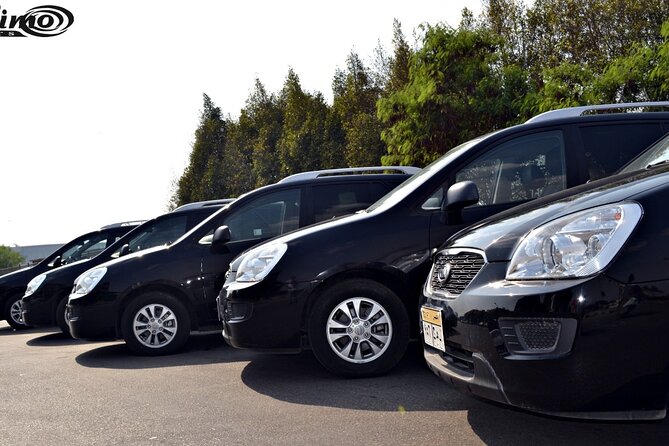 Private Airport Transfer: Cairo Airport Transfer to anywhere in Cairo - Leaving Cairo Airport without the taxi hunt