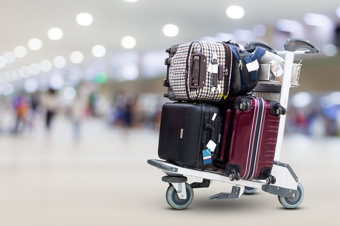 Private Airport Transfer in Cairo - Who should book this Cairo airport transfer?