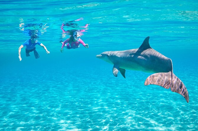 Private Boat to Dolphin House Full day Snorkeling Sea Trip Max 10 Pax - Hurghada - Safety, children, and practical comfort