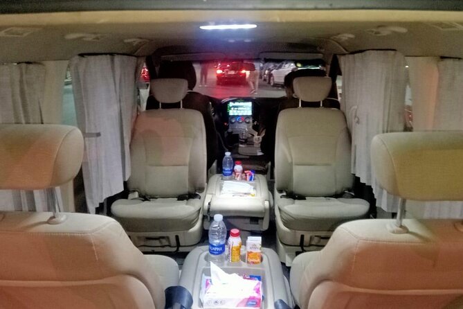 Private City Transfer from Cairo Airport - What the service does not include