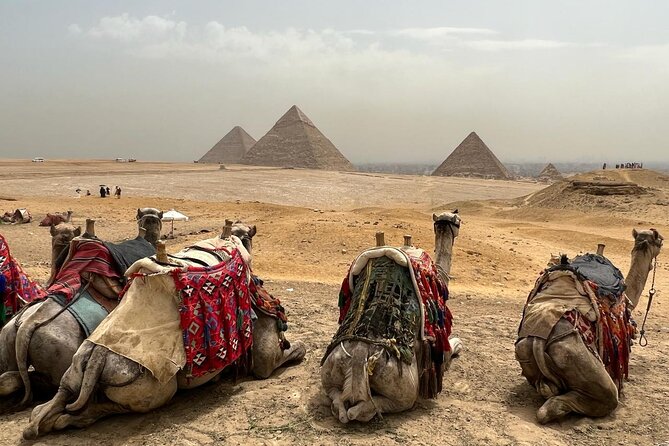 Private Day Pyramids and Grand Egyptian Museum with free camel - Booking, cancellation, and final checks