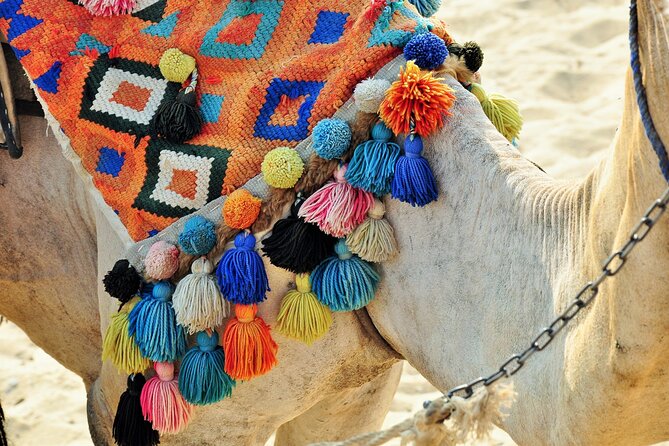 Private Day Tour of Giza Pyramids, Egyptian Museum, and Bazaar" - What the $16 price really covers
