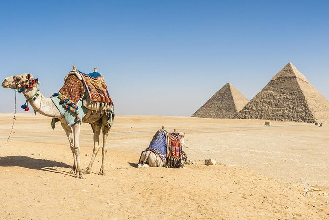 Private Day Tour to Cairo with Flights and Lunch from Hurghada - Two hours inside the Egyptian Museum