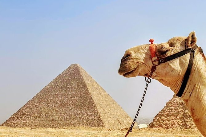 Private day trip to Cairo from Hurghada - The Sphinx and Valley Temple of Khafre