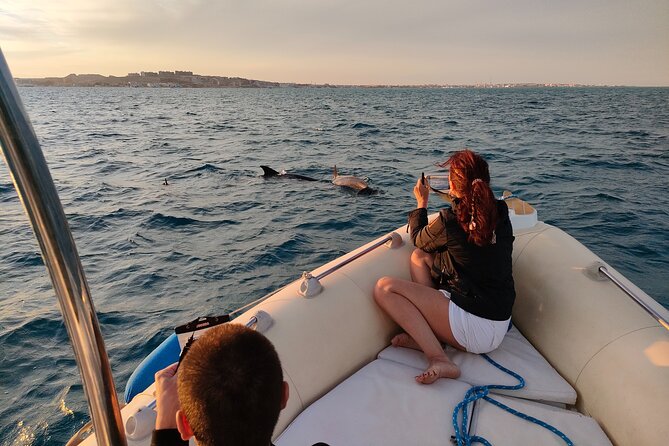 Private Dolphin Watching And Snorkeling Tour - Key points to know before booking