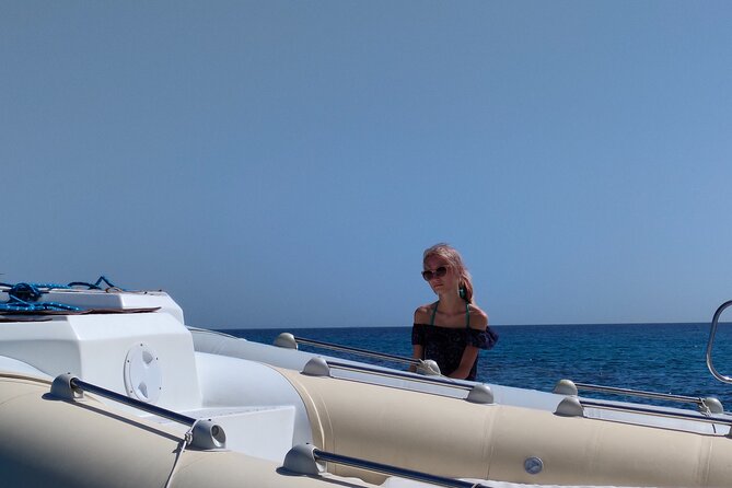 Private Dolphin Watching And Snorkeling Tour - How this compares with a shared boat trip