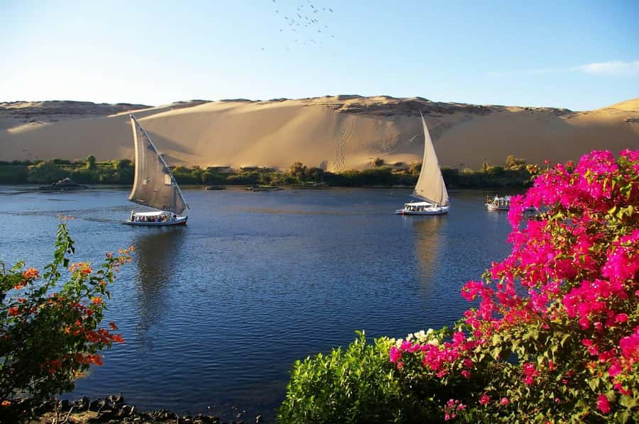 Private Felucca Ride on the Nile River - The guides make the difference