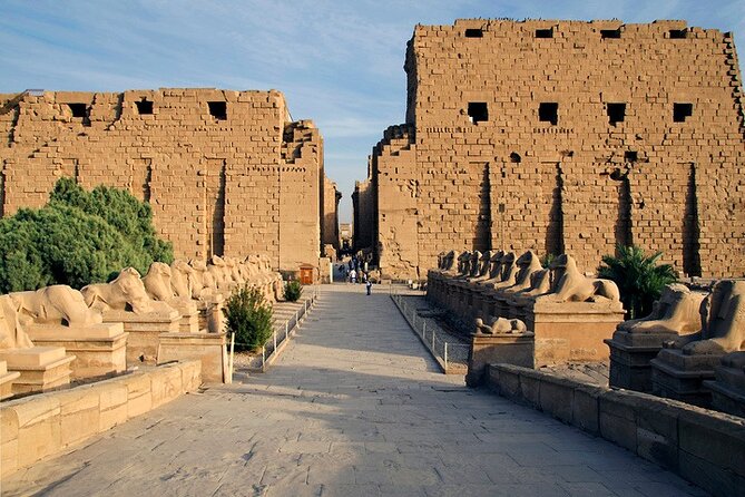 Private Full-Day Tour of the East and West Banks with lunch - Luxor Temple after dark or in the late afternoon