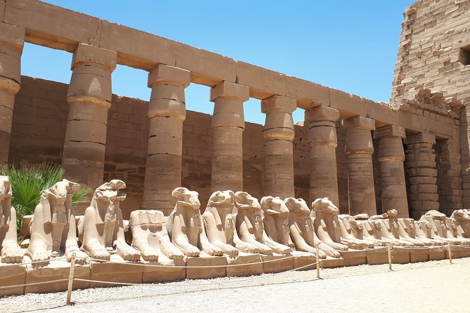 Private Full Day Tour to Luxor from Cairo with Flight - What the private guide adds