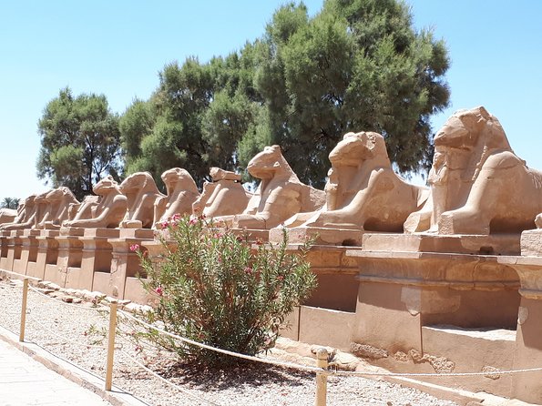 Private Full Day Tour to Luxor from Cairo with Flight - Cost, pace, and who should book