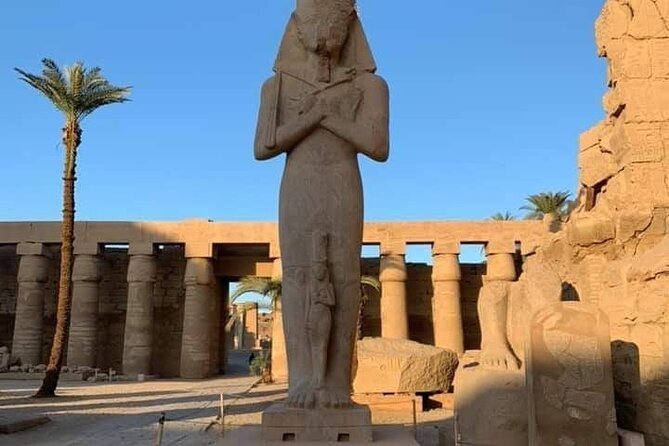 Private Full-Day Tour to West and East Banks of Luxor - Driver only or guide included?