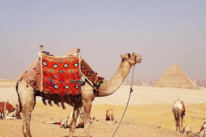 Private Half-Day Tour to Giza Pyramid ,Sphinx and Camel Ride - Key points at a glance