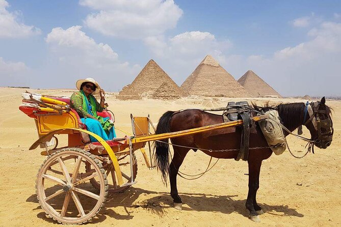 Private Half Day Tour to Giza Pyramids & Great Sphinx from Cairo - The Great Sphinx and its unanswered questions