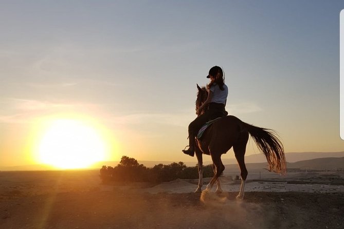Private Horse Riding Tour in Luxor West Bank - Three hours at sunrise and sunset