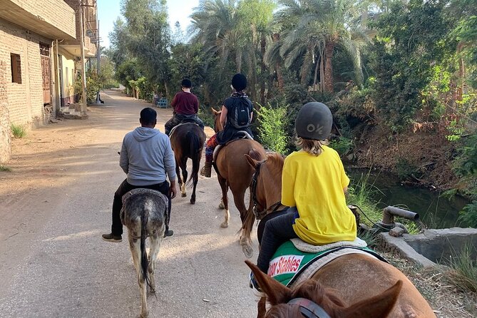 Private Horse Riding Tour in Luxor West Bank - The all-day desert picnic option