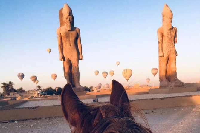 Private Horse Riding Tour in Luxor West Bank - Horses, helmets, and the guide’s role