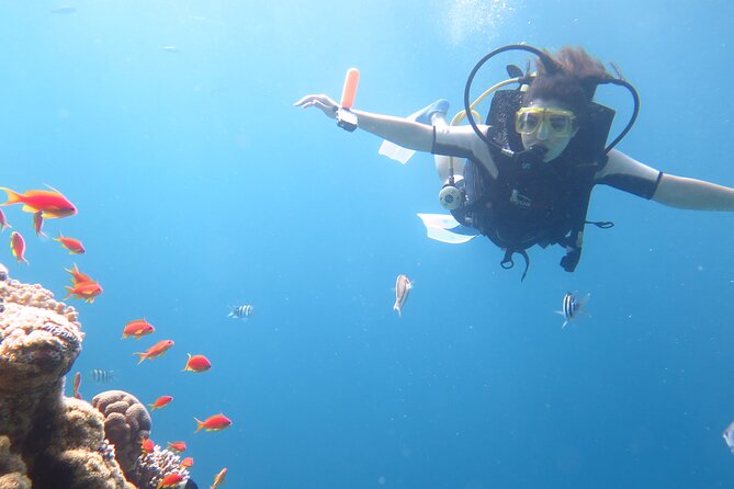 Private sea trip Hurghada - The crew and the personal touches