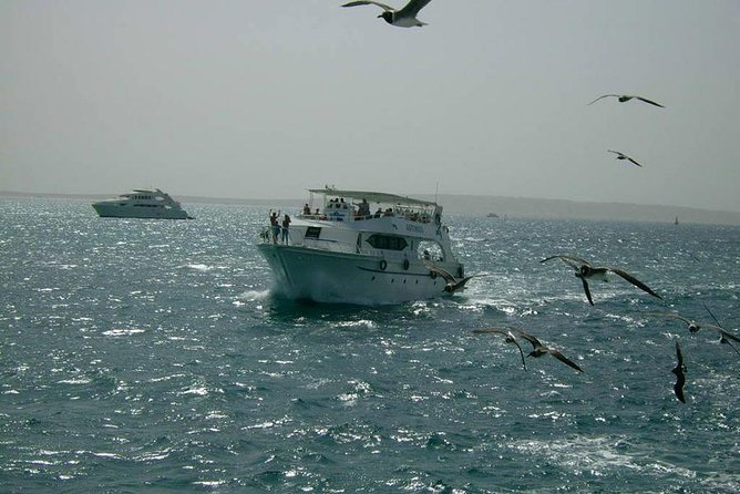 Private sea trip Hurghada - Timing, group size, and comfort