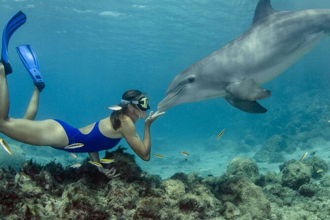Private Speed Boat Snorkeling with Dolphins Trip - Hurghada - Leaving Hurghada at 7:30 am