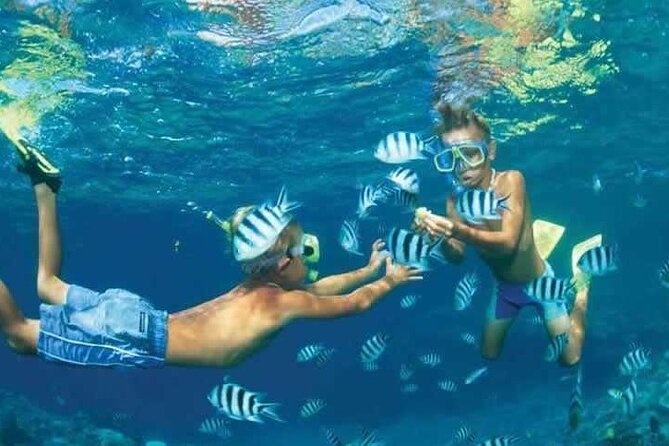 Private Speed Boat Snorkeling with Dolphins Trip - Hurghada - Weather is the decision maker