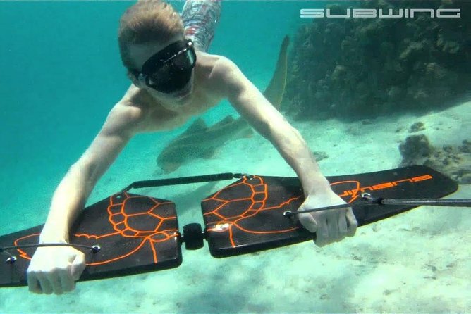 Private Speed Boat & Swim With Dolphins & Water Sports-hurghada - What the two-hour first stop feels like
