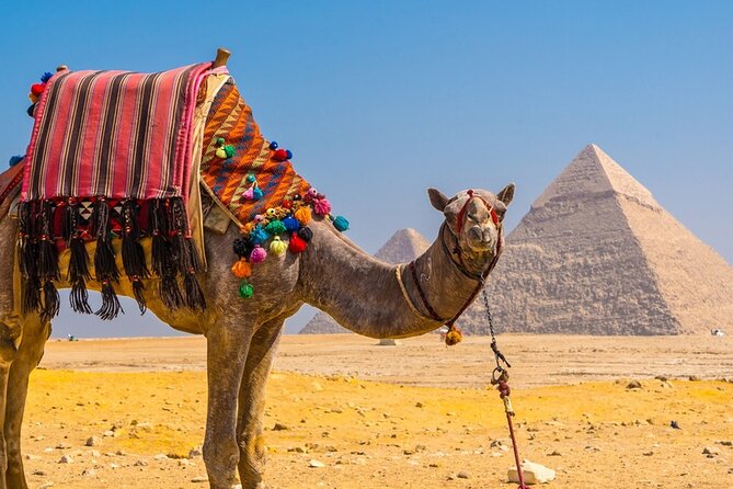 Private Tour: Cairo Day Trip from Hurghada, Including Round-Trip Flights, Giza Pyramids, Sphinx, and Egyptian Museum - Two Hours Inside the Egyptian Museum