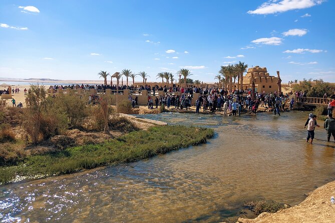 Private tour El Fayoum Oasis and Wadi Rayan waterfall from Cairo - Lake Qarun: birds, farms, and a very simple boat ride