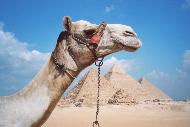 Private Tour: Giza Pyramids, Sphinx, Memphis, Sakkara - Saqqara and Djoser’s Step Pyramid