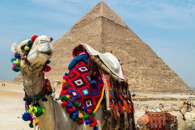 Private tour to Giza Pyramids, Sphinx and Egyptian Museum - The Egyptian Museum and Tutankhamun’s treasures