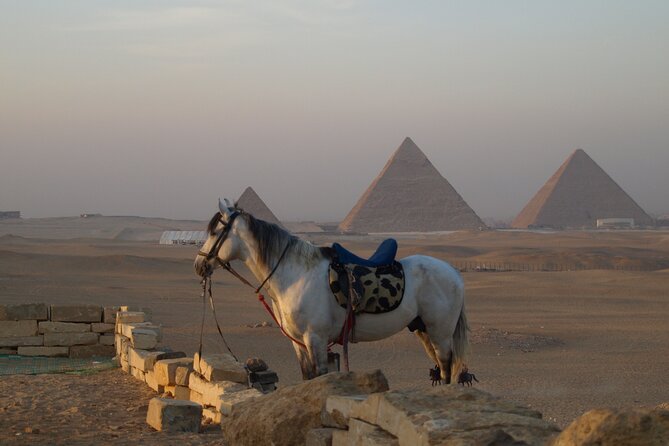 Private tour to Giza Pyramids, Sphinx and Egyptian Museum - Practical advice for a smoother day