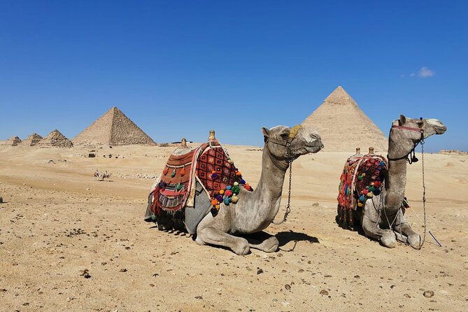 Private Tour to Giza Pyramids, Sphinx with Camel Ride and Lunch - Who will enjoy this tour most?