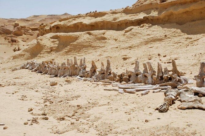 Private Tour to Whales Valley & Wadi El Rayan Waterfalls in El Fayoum from Cairo - The 4x4 ride, sand dunes, and Magic Lake