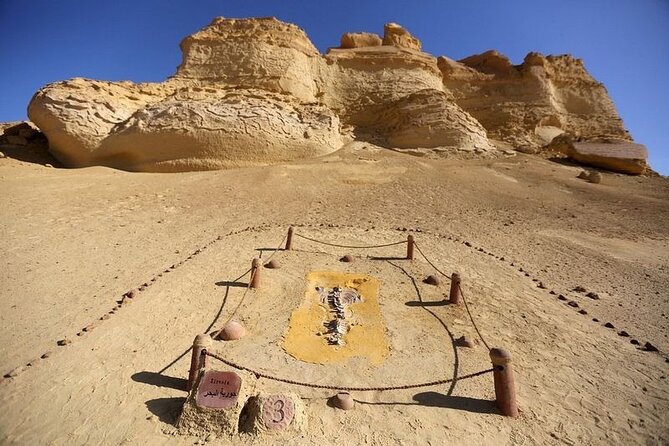 Private Tour to Whales Valley & Wadi El Rayan Waterfalls in El Fayoum from Cairo - Tunis Village and the view across Fayoum