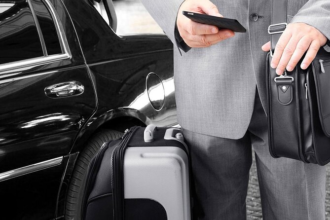 Private Transfers to/from Cairo Airport & Hotels in Cairo & Giza - Who Should Book This Cairo Transfer