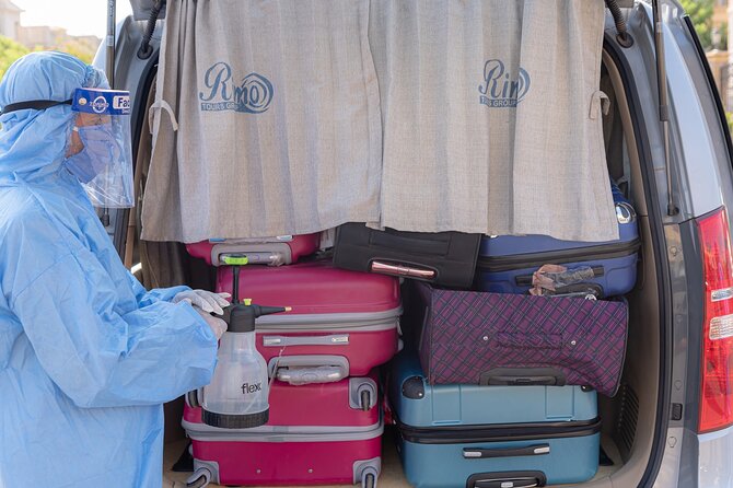 Private VAN Airport Transfer: Cairo Airport Transfer to anywhere in Cairo - Choosing between the sedan and minivan