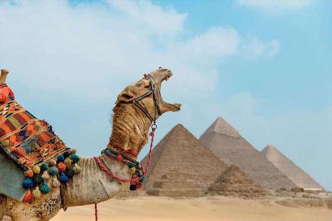 Private ViP all-inclusive Giza Pyramids,Sphinx,Inside Pyramid - Lunch at a VIP restaurant