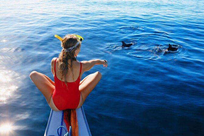 Private Yacht Cruise to Dolphin House with Lunch : Hurghada - Leaving Hurghada for an eight-hour Red Sea day