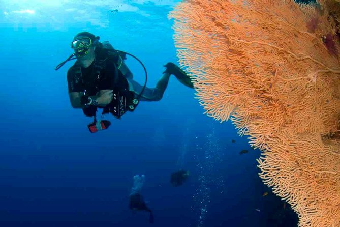 Professional 2 Stops Scuba Diving Full Day Boat Trip - Hurghada - Lunch and the One-to-Two-Hour Break