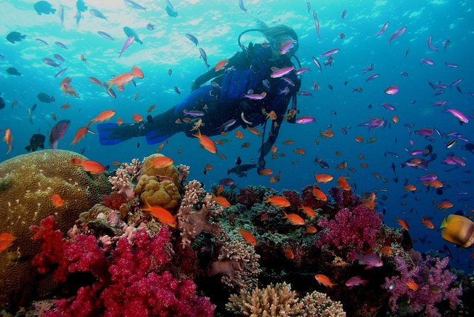 Professional 2 Stops Scuba Diving Full Day Boat Trip - Hurghada - Boat Comfort, Transport, and Timing