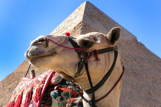 Pyramids of Giza & Saqqara complex - The Giza Plateau, from the Great Pyramid to the Sphinx