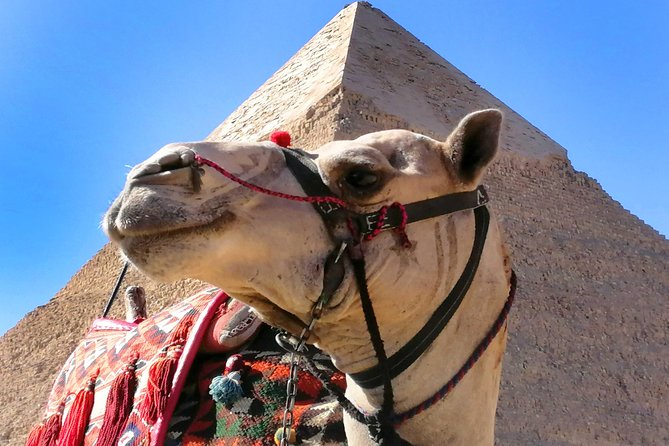 Pyramids of Giza, the Sphinx, the Egyptian Museum. - Is $160 a fair price?