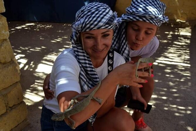 Quad 3 hours VIP safari adventure Hurghada - How family-friendly is this safari?